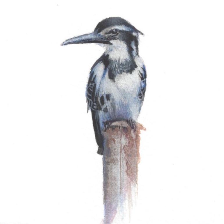 771x770 Dina Brodsky - Kingfisher Watercolor