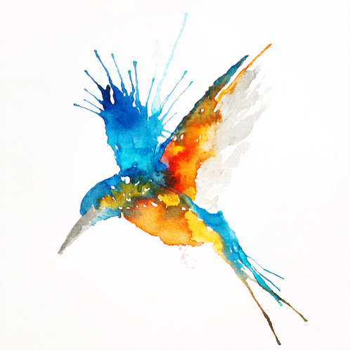 498x498 Diving Kingfisher - Kingfisher Watercolor