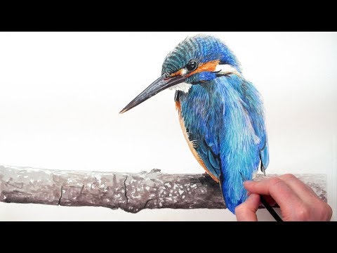 480x360 How To Paint A Vibrant Kingfisher Bird In Watercolour (Forget The - Kingfisher Watercolor