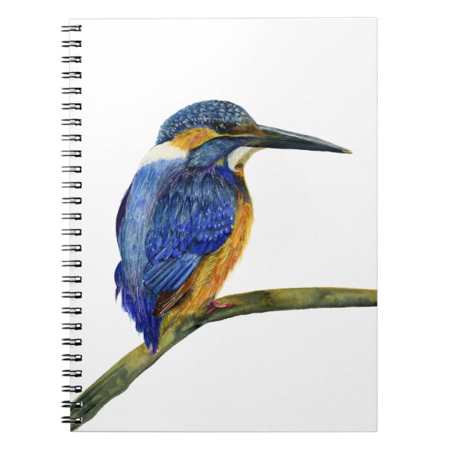630x630 Kingfisher Bird Watercolor Halcyon Bird Notebook Zazzle.co.uk - Kingfisher Watercolor