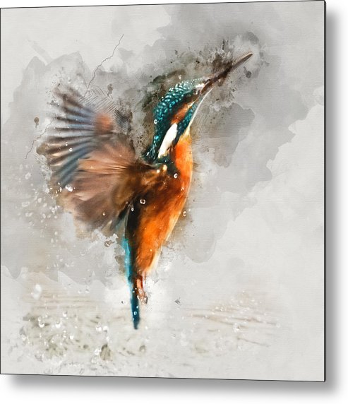493x572 Kingfisher Bird Watercolor Portrait 1 - Kingfisher Watercolor