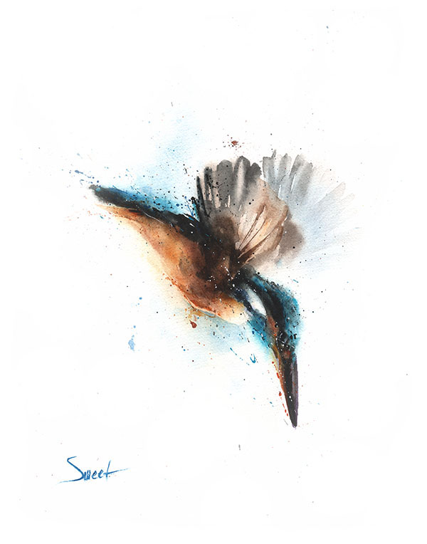 600x764 Kingfisher Original Watercolor Watercolor Animal Paintings - Kingfisher Watercolor