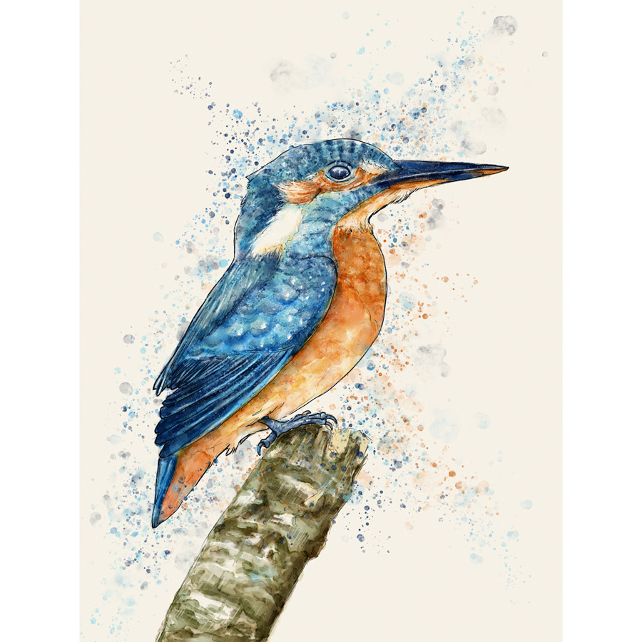 900x900 Kingfisher Watercolour Painting - Kingfisher Watercolor