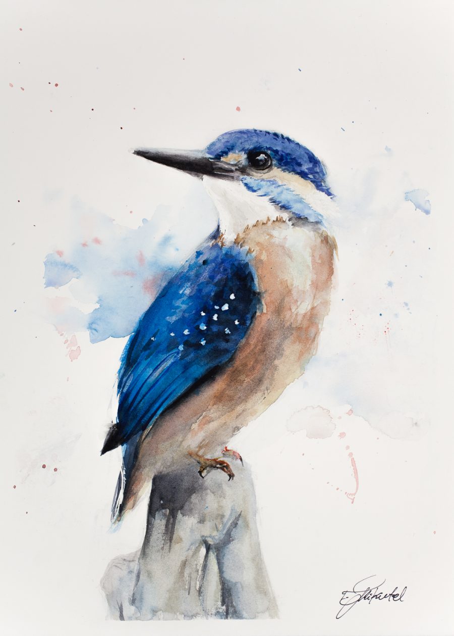 900x1259 Watercolour Kingfisher - Kingfisher Watercolor