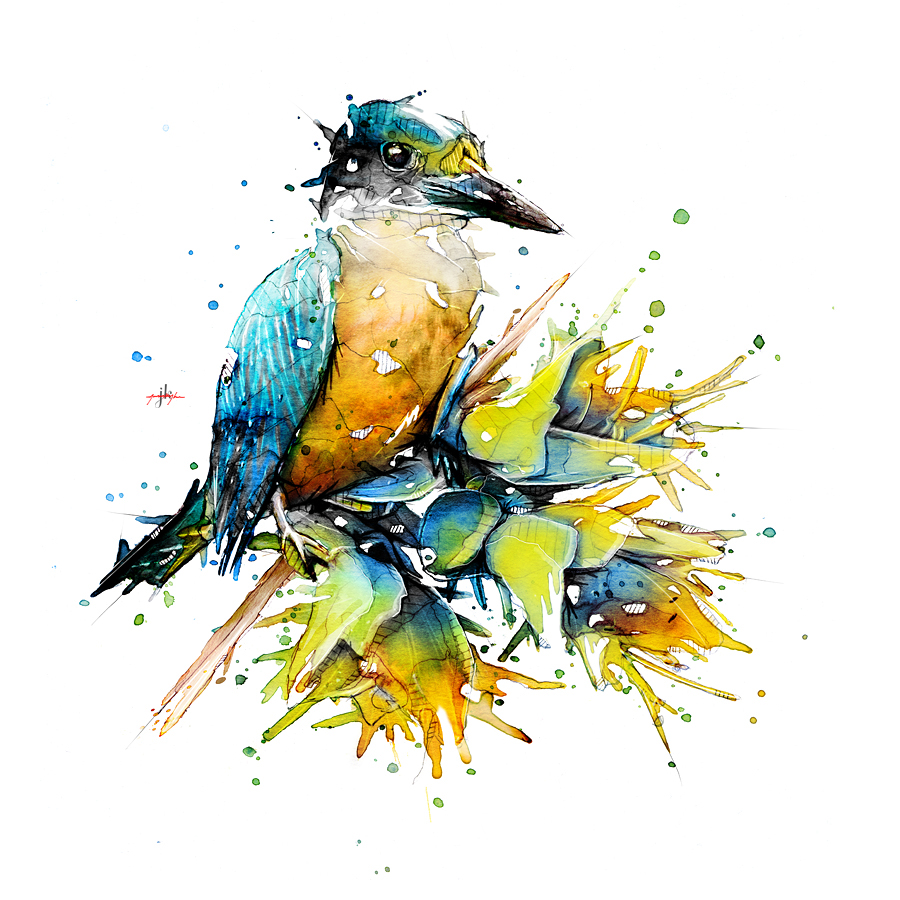 900x900 Watercolour Kingfisher On Behance - Kingfisher Watercolor