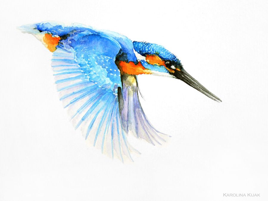 900x676 Kingfisher Watercolor By Kakiaart Ptitcy - Kingfisher Watercolor
