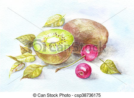 450x327 Kiwi And Cherry Watercolor. Still Life For Kitchen, Drawing On The - Kiwi Watercolor