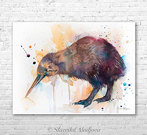 500x460 Kiwi Watercolor Painting Print By Slaveika Aladjova Amazon.co.uk - Kiwi Watercolor