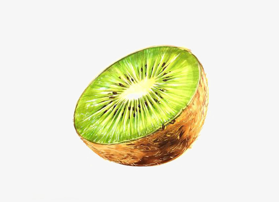 564x408 Watercolor Kiwi, Watercolor Clipart, Kiwi Clipart, Kiwi - Kiwi Watercolor