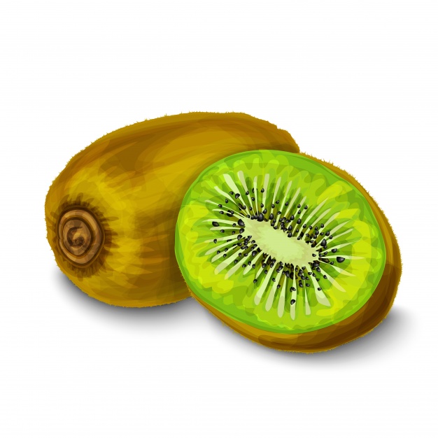 626x626 Watercolor Kiwi Vector Free Download - Kiwi Watercolor