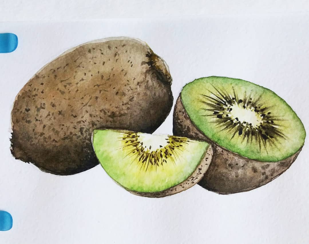 1080x853 Watercolorkiwi - Kiwi Watercolor