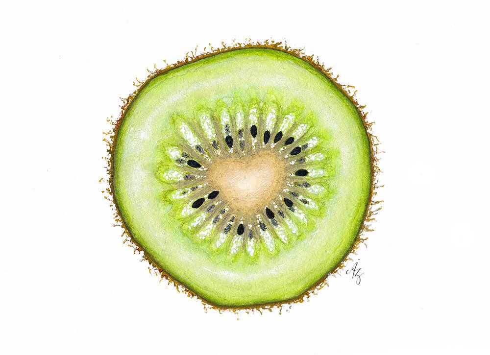 1000x725 Kiwi Art Print, Kiwi, Watercolor Kiwi, Kiwi Slice Art, Wall Decor - Kiwi Watercolor