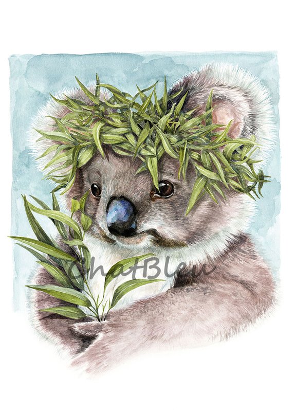 570x799 Koala Art Le Koala Watercolor Archival Print A4 Etsy - Koala Watercolor