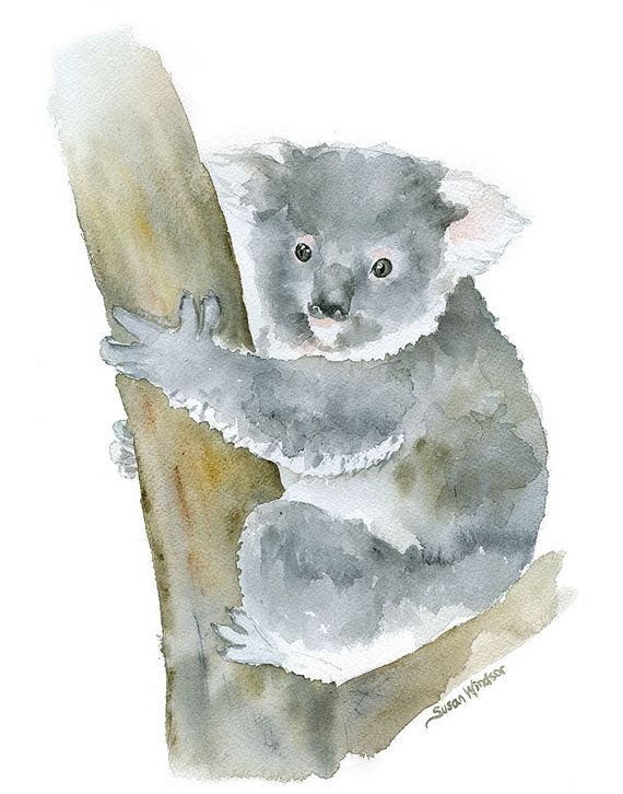 570x726 Koala Watercolor Painting - Koala Watercolor