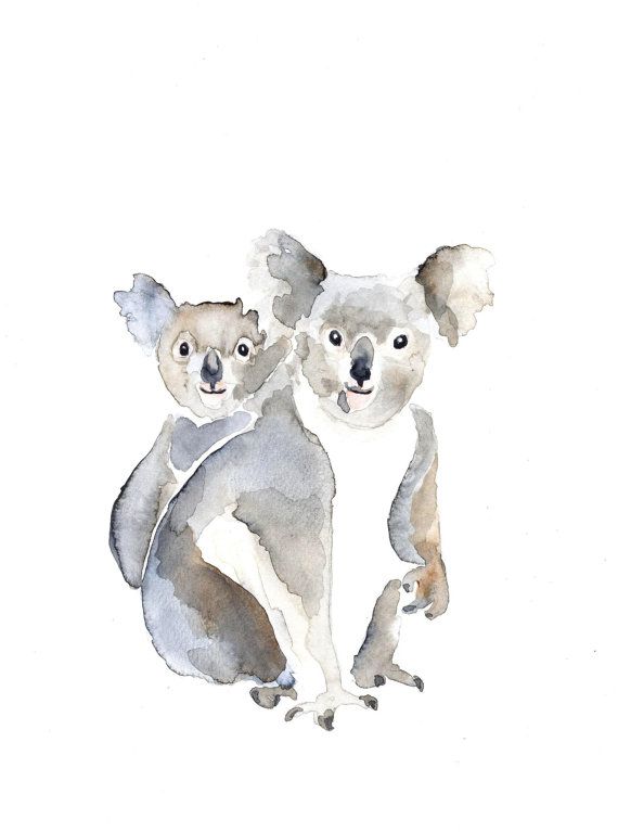 570x767 Mom And Baby Koala Original Watercolor Painting In 2018 A R T - Koala Watercolor