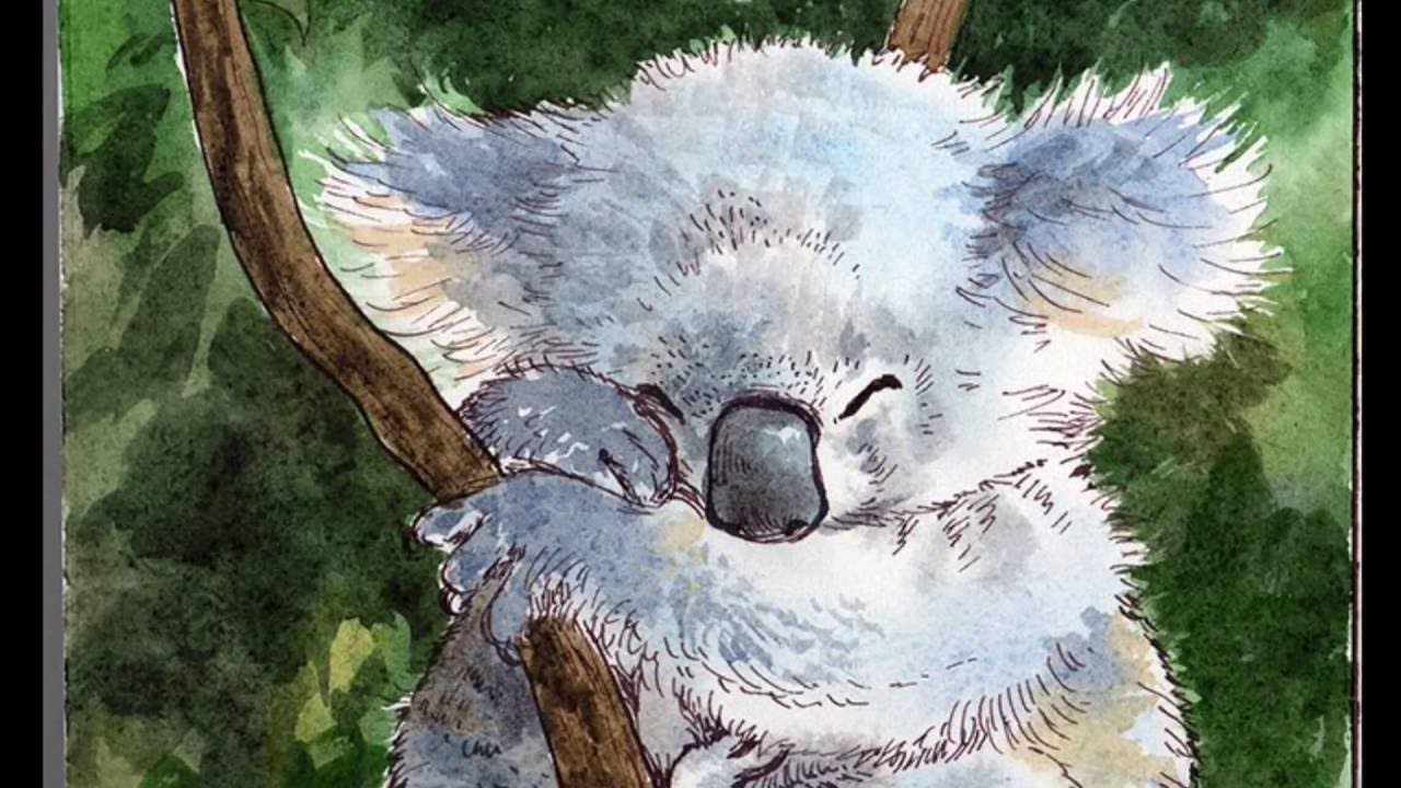 1280x720 Time Lapse Watercolor And Ink Koala Painting - Koala Watercolor