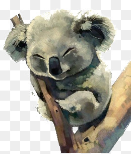 260x306 Watercolor Koala Png, Vectors, Psd, And Clipart For Free Download - Koala Watercolor