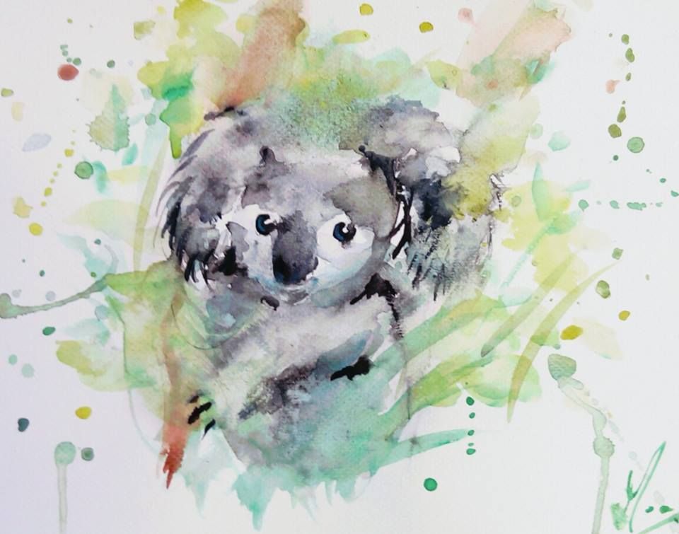 960x755 Koalalibre Watercolor Of Koala Koala - Koala Watercolor