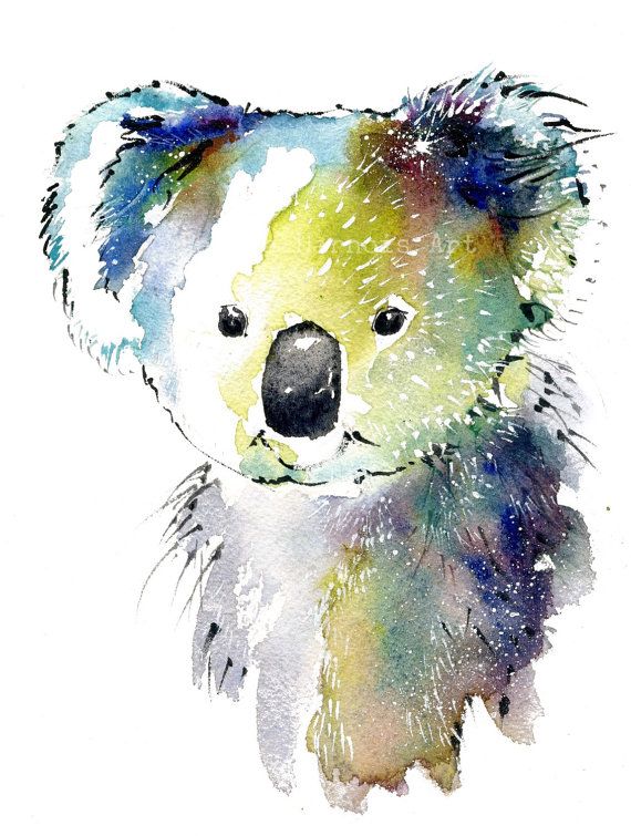 570x755 Koala Bear Art, Watercolor Art Print, Bear, Interior Design, Wall - Koala Watercolor