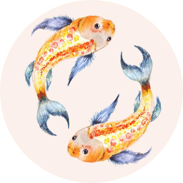 600x600 Pretty Colorful Japanese Yin Yang Koi Fish Watercolor Art Vinyl - Koi Fish Watercolor