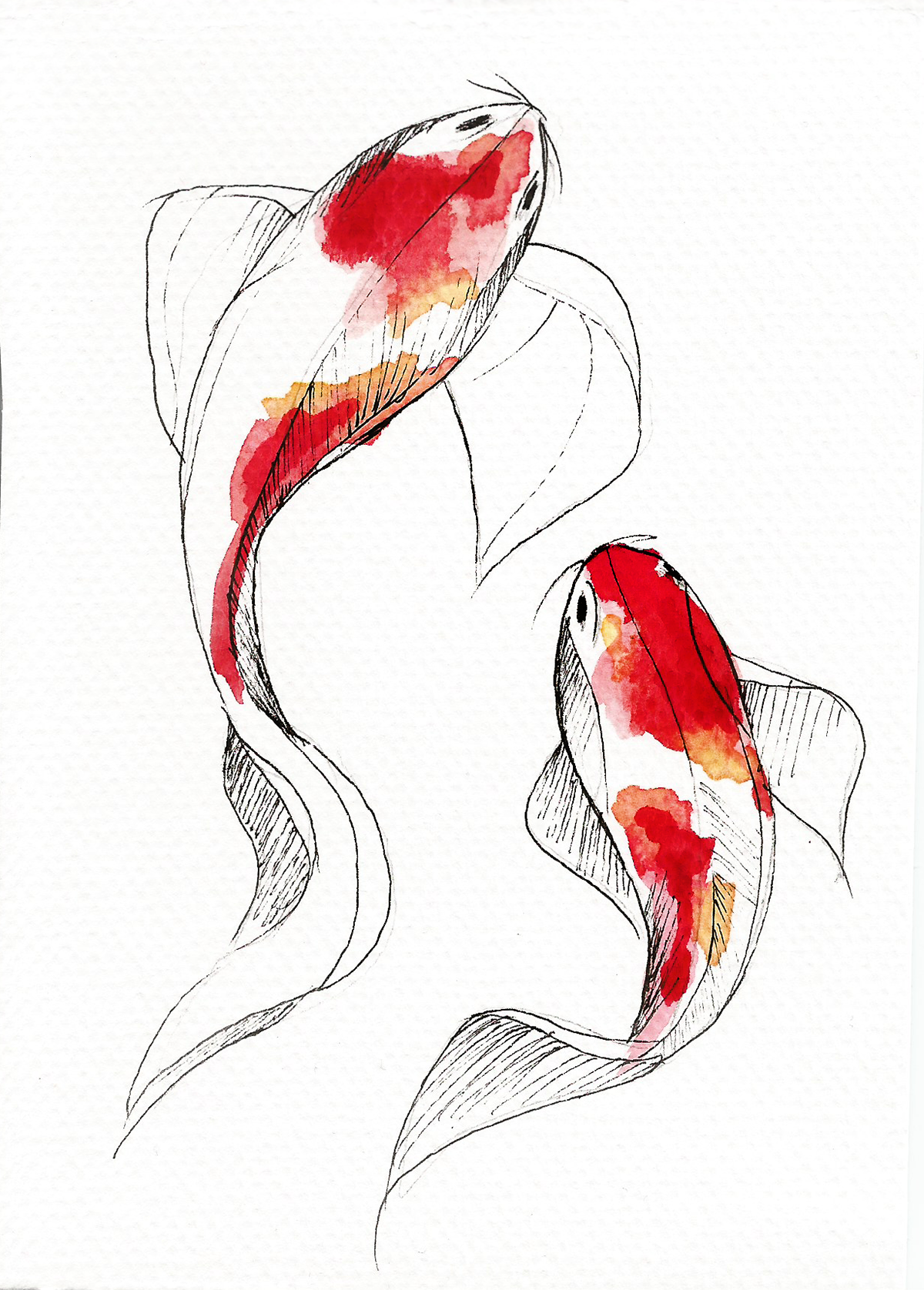 1200x1676 Watercolor Koi Fish On Behance - Koi Fish Watercolor