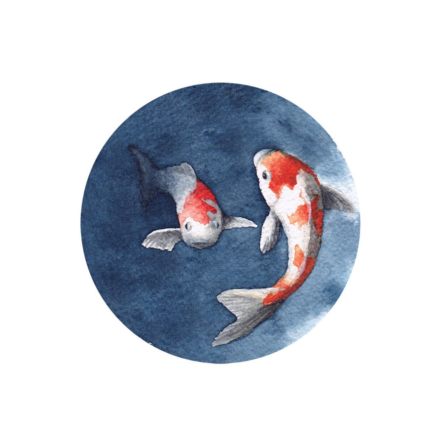 888x899 Watercolour Koi Fish By Daruma Girl - Koi Fish Watercolor
