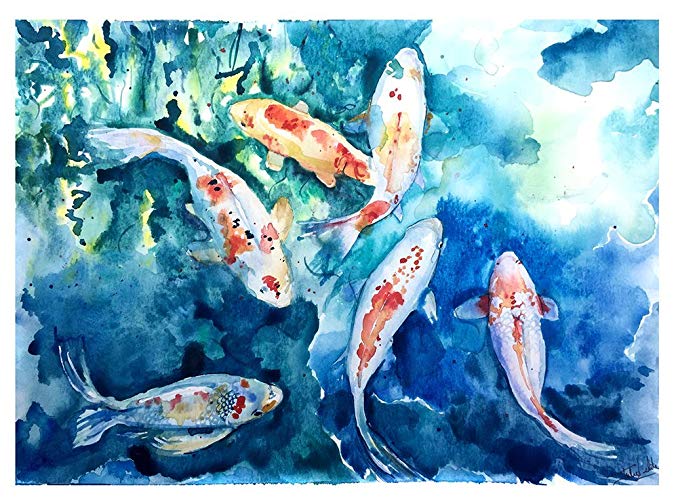 678x500 Koi Fish Watercolor Handmade - Koi Fish Watercolor