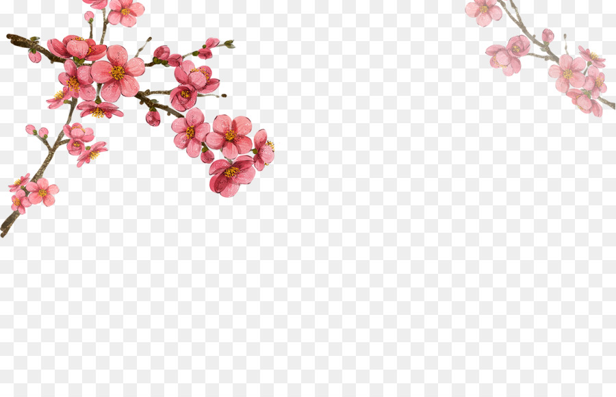 900x580 South Korea Flower Drawing Watercolor Painting Illustration - Korean Watercolor