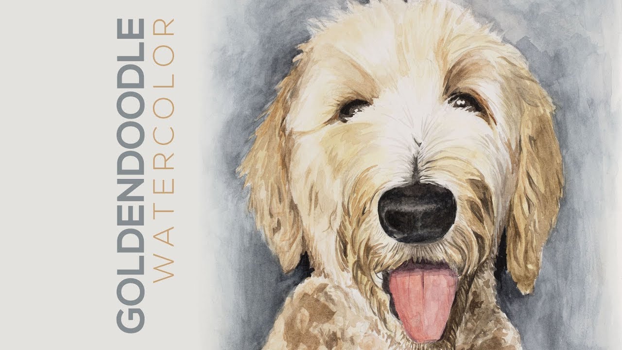 1280x720 Goldendoodle Watercolor Painting Sped Up - Labradoodle Watercolor