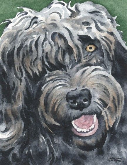 433x560 Labradoodle Art Print Watercolor Signed By Artist Dj Rogers - Labradoodle Watercolor
