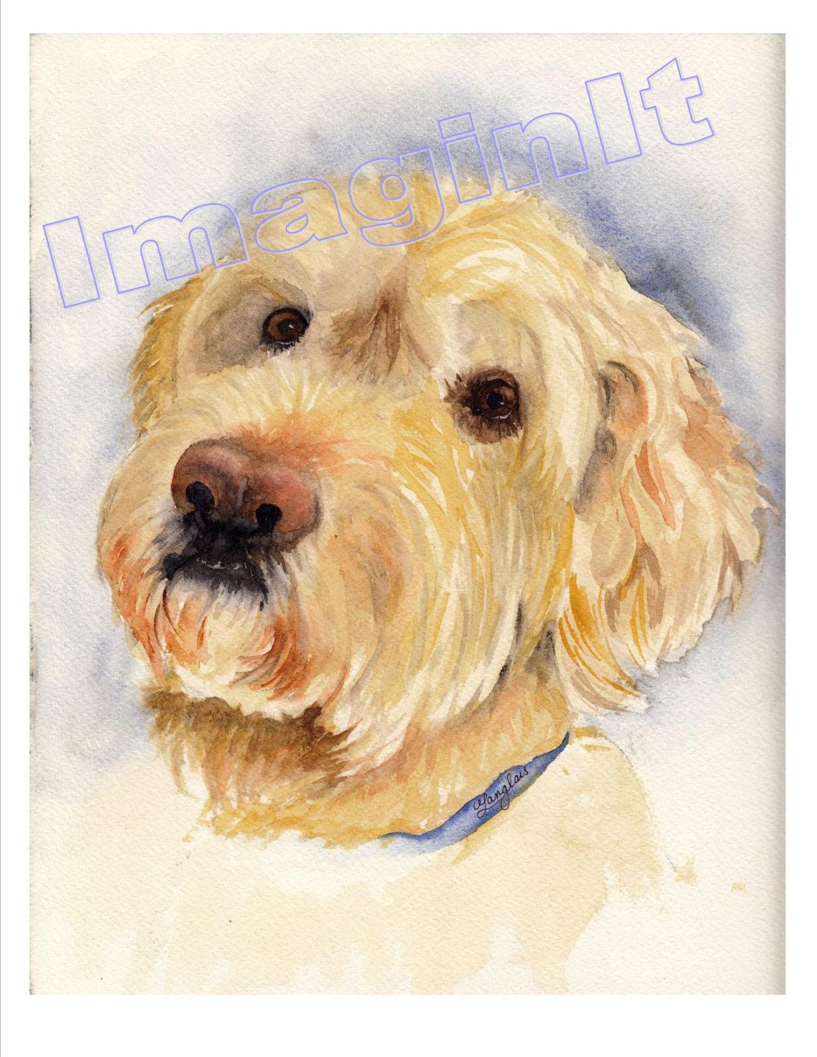 1159x1500 Labradoodle - Labradoodle Watercolor