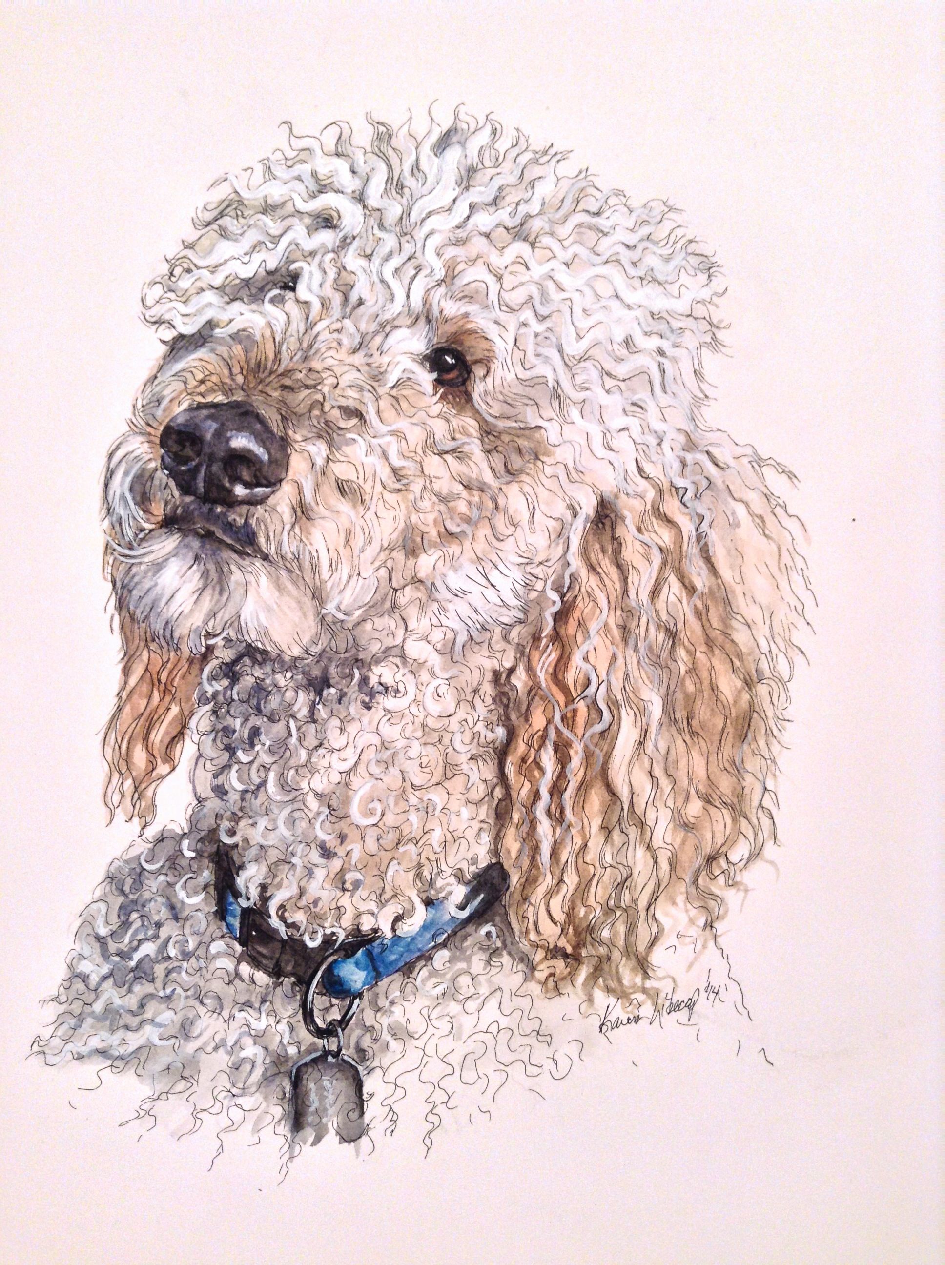 1936x2592 Labradoodle 11x14 Watercolor And Ink Karen Libecap My Paintings - Labradoodle Watercolor