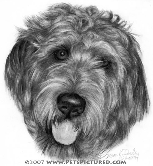 500x543 Labradoodle Portrait - Labradoodle Watercolor