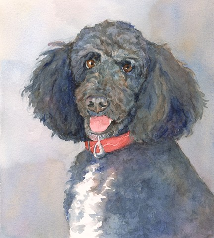 432x480 Edie Fagan - Labradoodle Watercolor