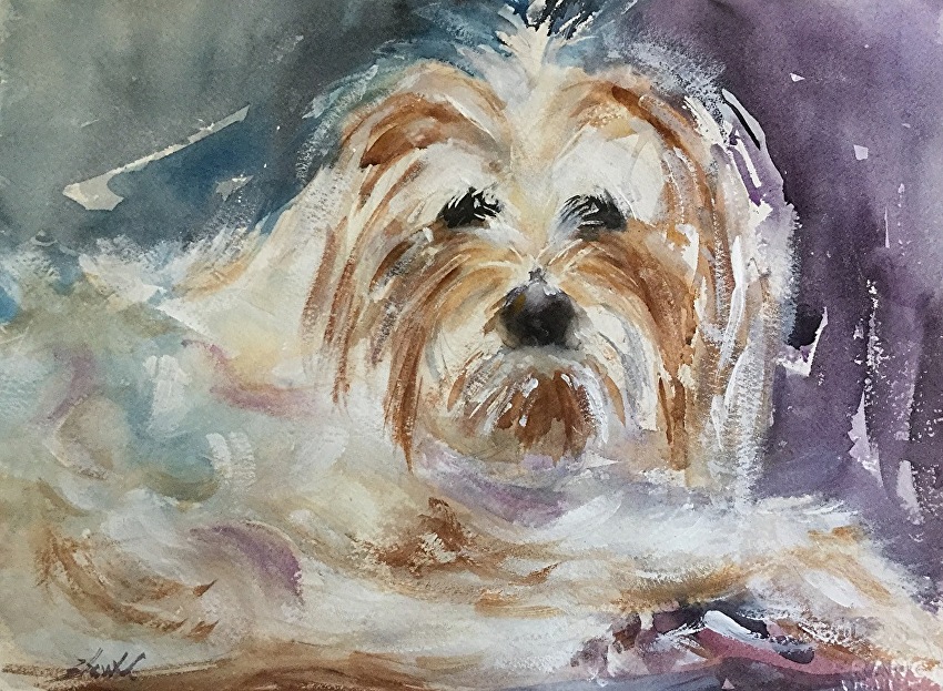 850x623 Carolyn Zbavitel - Labradoodle Watercolor