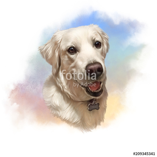 500x500 Illustration Of Labrador Retriever. Guide Dog, A Disability - Labrador Watercolor