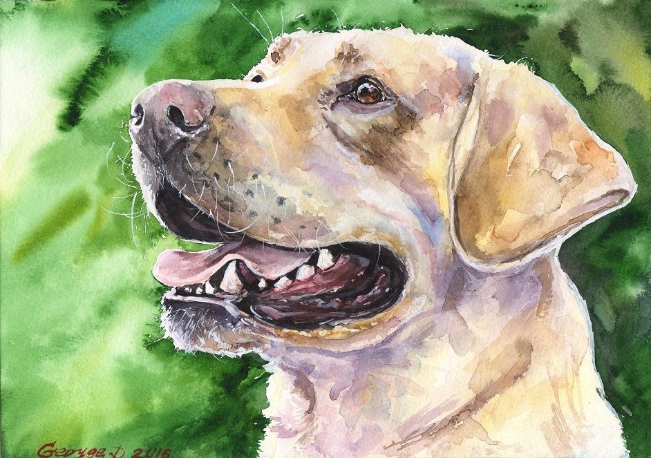 942x663 Labrador Watercolor Print Of The Original Watercolor Painting - Labrador Watercolor