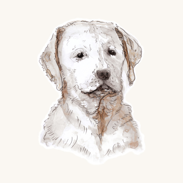 630x630 Labrador Puppy Watercolor Painting - Labrador Watercolor