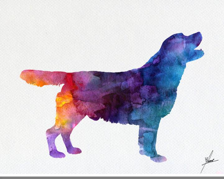 720x576 Labrador Retriever - Labrador Watercolor