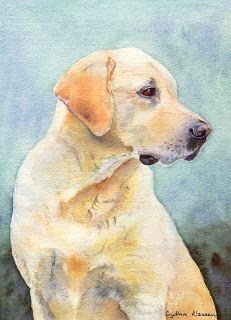 231x320 Watercolor Portrait Of A Yellow Labrador Retriever By Cynthia - Labrador Watercolor