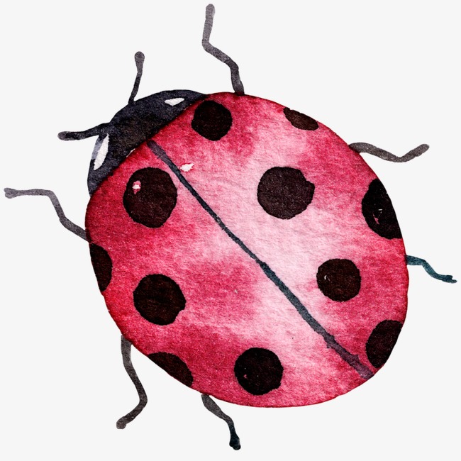 650x650 Ladybug, Watercolor, Hand Painted, Insect Png Image And Clipart - Ladybug Watercolor