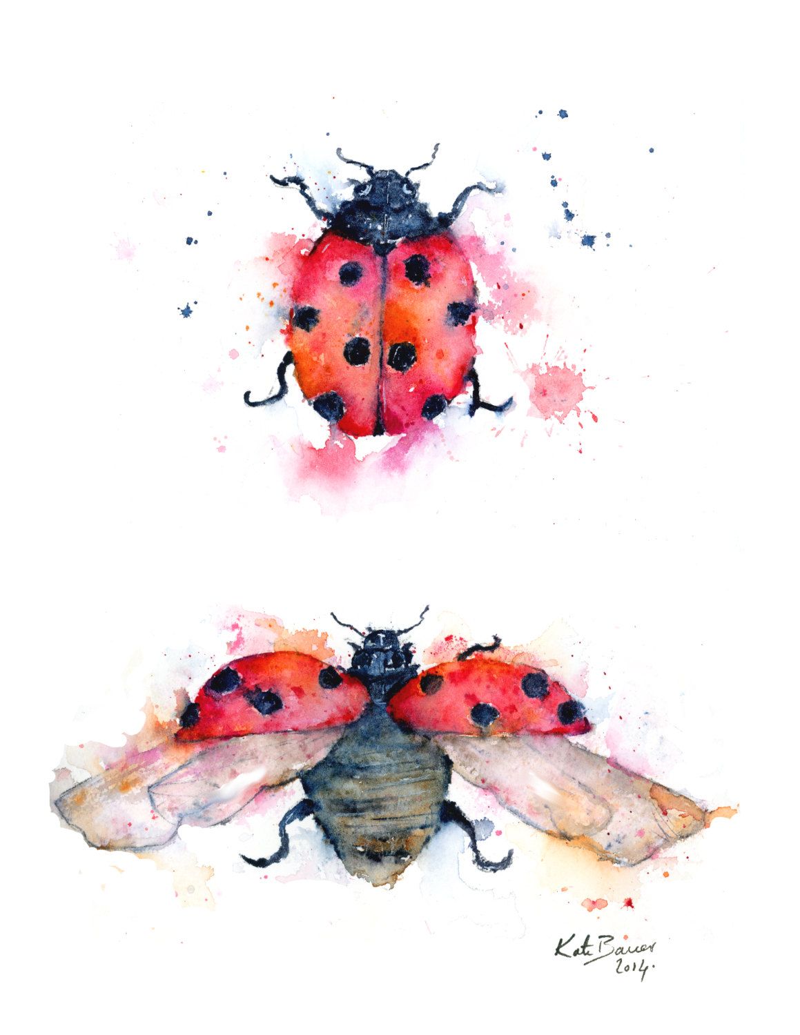 1159x1500 Ladybug Illustration - Ladybug Watercolor
