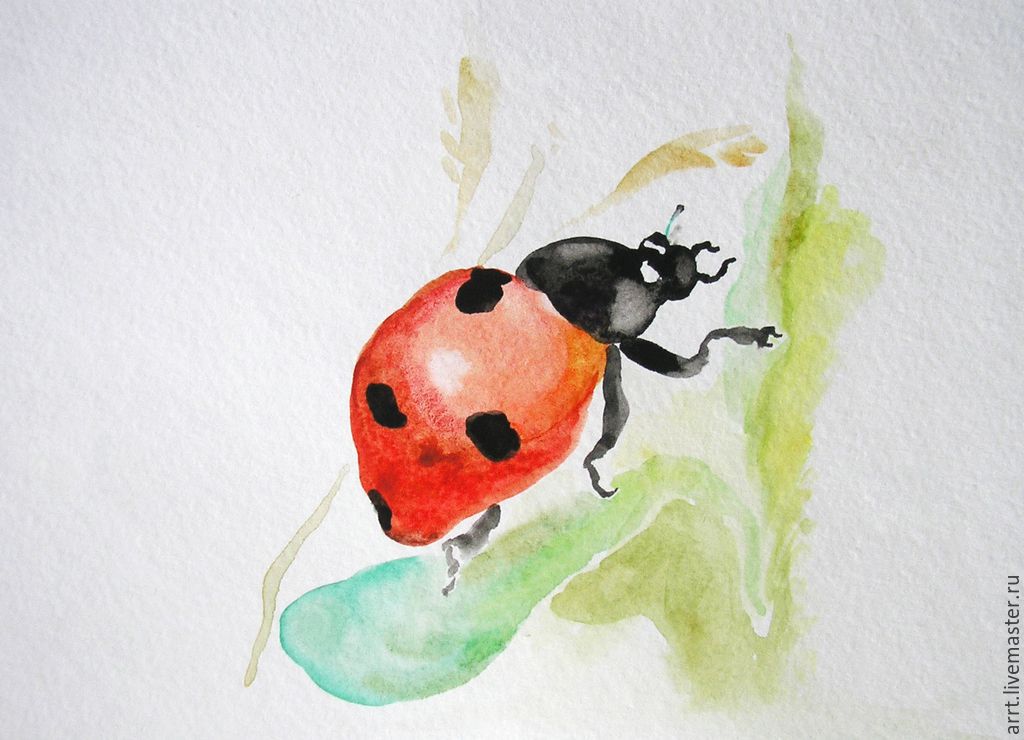 Ladybug Watercolor at PaintingValley.com | Explore collection of ...