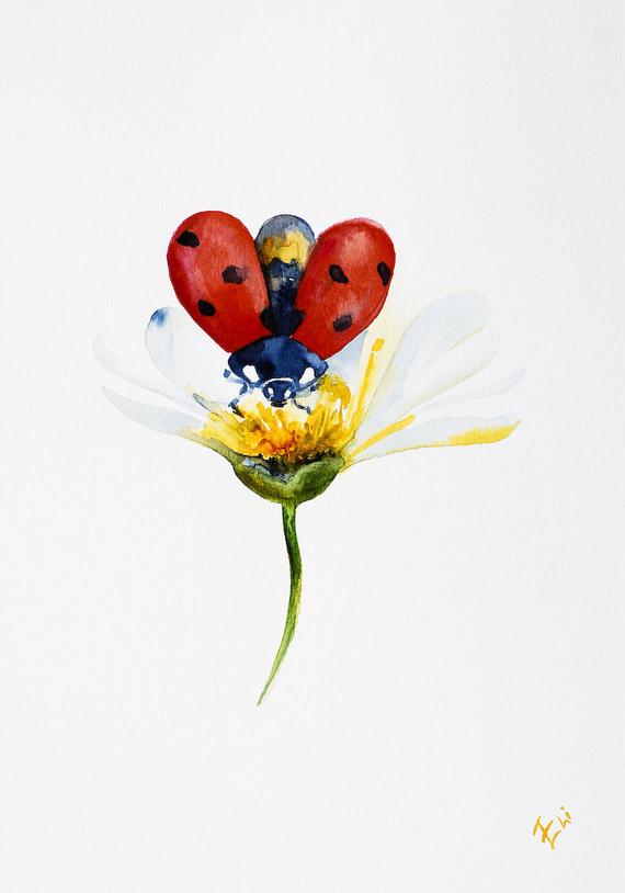570x814 Ladybug Watercolor Nursery Wall Art White Daisy Painting Etsy - Ladybug Watercolor