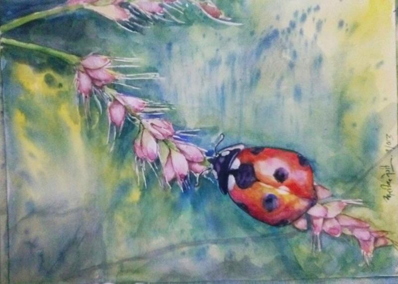 800x571 Ladybug And Flower - Ladybug Watercolor