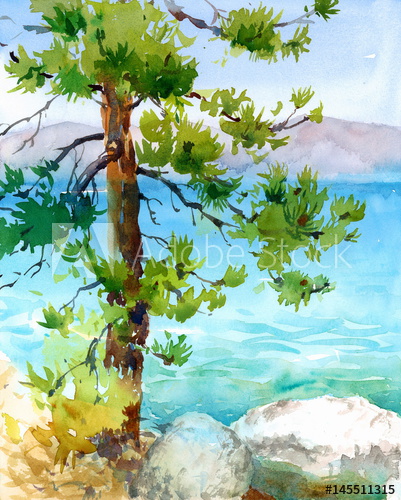 401x500 Watercolor Pine Tree With A Beautiful Teal Blue Lake Tahoe And - Lake Tahoe Watercolor