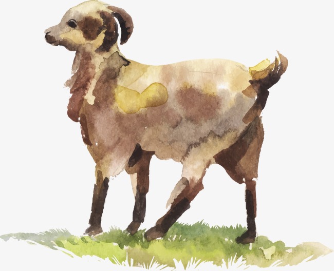 650x528 Drawing Lamb, Watercolor, Sheep, Decoration Png And Vector For - Lamb Watercolor