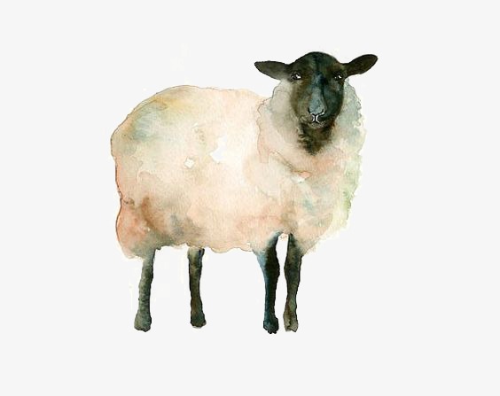 564x447 Goat, Hand Painted Goat, Watercolor Goat, Lamb Png Image And - Lamb Watercolor