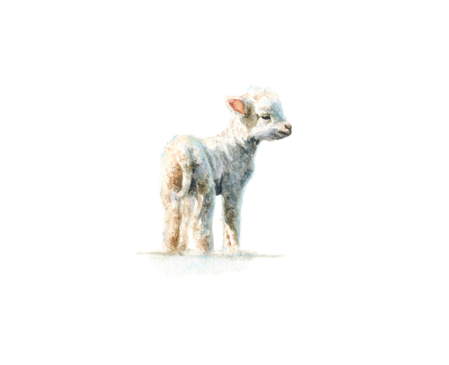 1500x1220 Lamb No. 1 Art Print Baby Animal Painting - Lamb Watercolor