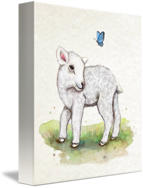 494x650 Little Lamb In Watercolor By Cheryl Marie - Lamb Watercolor